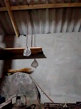 Snapshot of donna-bae chatting on October 2025 10:47:01 PM donna-bae online show from October 2025 10:47:01 PM