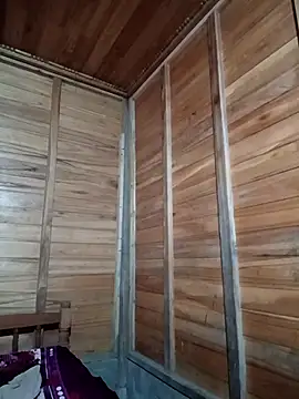 Snapshot of tulipsexy chatting on October 2025 01:12:02 PM tulipsexy online show from October 2025 01:12:02 PM