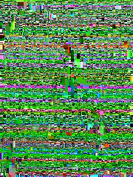 Alan18cmsafado online show from September 2025 03:41:02 AM