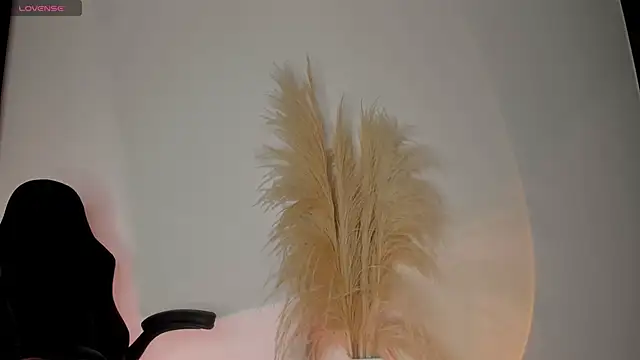 Snapshot of chrizmacgregor chatting on October 2025 01:37:01 AM chrizmacgregor online show from October 2025 01:37:01 AM