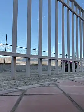 liahouses online show from September 2025 09:53:01 PM