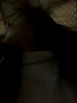 Snapshot of Halyy_xx chatting on November 2025 11:36:02 PM Halyy xx online show from November 2025 11:36:02 PM