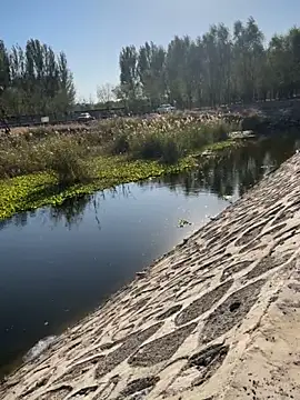 Tang-88 online show from October 2025 06:52:02 AM