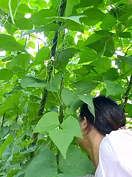 diamond-- online show from October 2025 12:31:02 AM