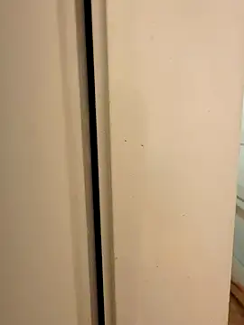 Snapshot of hhhajjib chatting on November 2025 05:19:01 PM hhhajjib online show from November 2025 05:19:01 PM