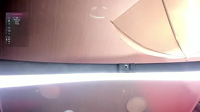 amaraa lewiis online show from October 2025 12:24:01 PM