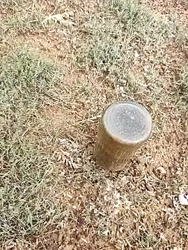 telugumodda4396 online show from October 2025 02:31:01 AM