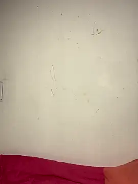 Snapshot of Bulma04 chatting on November 2025 04:33:01 AM Bulma04 online show from November 2025 04:33:01 AM