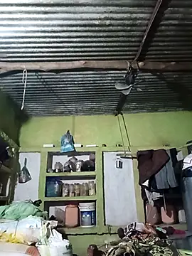 Haliya88 online show from October 2025 06:49:02 PM