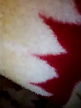 alone boy802 online show from October 2025 08:29:02 AM