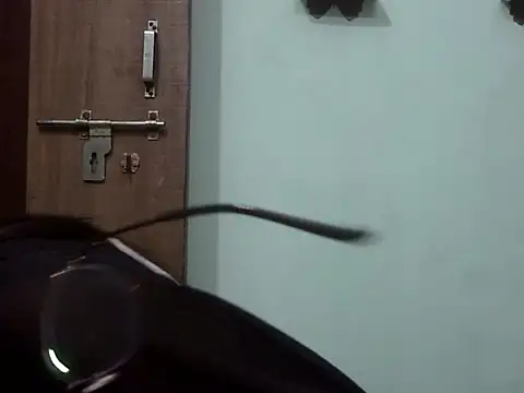 Lusty Shreya  online show from November 2025 05:17:01 AM