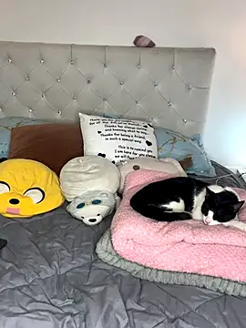 Snapshot of sunnymoonn_1 chatting on October 2025 08:05:02 PM sunnymoonn 1 online show from October 2025 08:05:02 PM