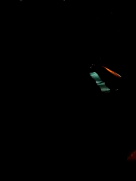 Gigolo31per31 online show from October 2025 02:25:02 AM