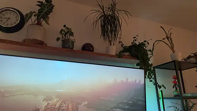 Passion-Frucht online show from November 2025 03:44:01 PM