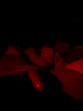 Snapshot of itsJrivera24 chatting on October 2025 09:04:01 AM itsJrivera24 online show from October 2025 09:04:01 AM