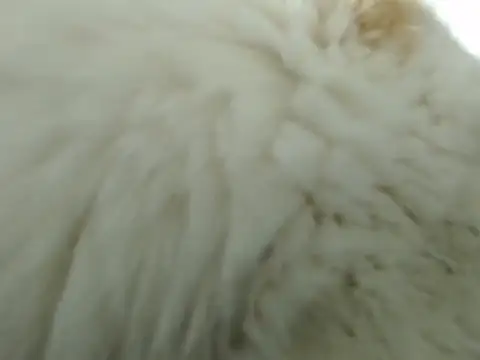 DirtyNotLimits  online show from October 2025 11:25:01 AM