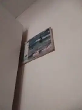 Snapshot of misteriosabb000 chatting on December 2025 11:49:02 AM misteriosabb000 online show from December 2025 11:49:02 AM