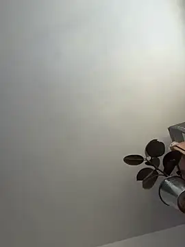 Snapshot of UnitedMap1 chatting on November 2025 02:50:02 PM UnitedMap1 online show from November 2025 02:50:02 PM