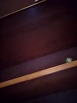 DeeBestEver online show from November 2025 01:16:02 AM