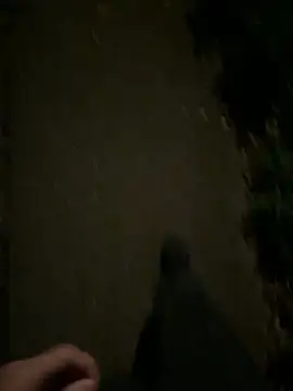 ncjuice  online show from October 2025 10:00:01 PM