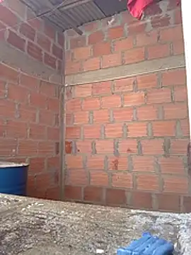 Linis 19 online show from November 2025 03:58:02 PM