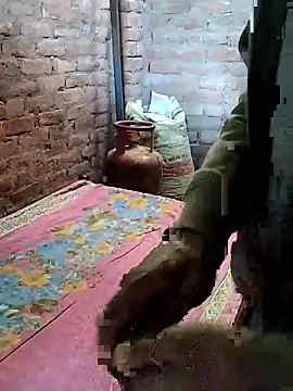 Rani 089 online show from November 2025 03:49:01 AM