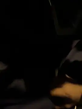 ayrtonmen online show from October 2025 04:43:02 AM