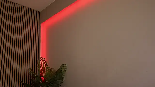 Snapshot of sisi_von_dee chatting on November 2025 08:53:01 PM sisi von dee online show from November 2025 08:53:01 PM