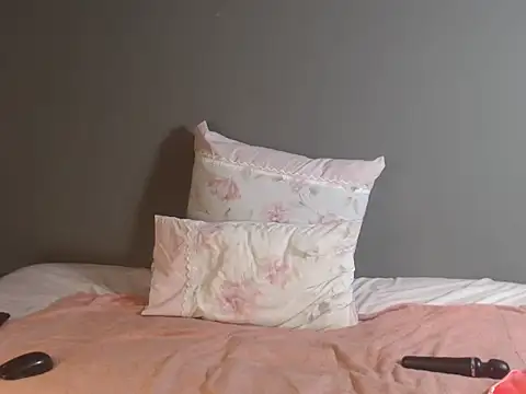 Snapshot of BoobsBae04 chatting on November 2025 08:31:01 PM BoobsBae04 online show from November 2025 08:31:01 PM