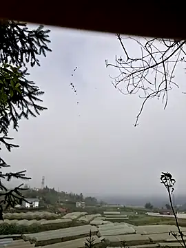 miomio-12 online show from November 2025 01:38:02 AM