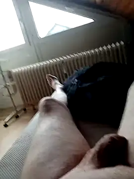 Snapshot of ImperlPerverso59 chatting on October 2025 11:55:02 AM ImperlPerverso59 online show from October 2025 11:55:02 AM