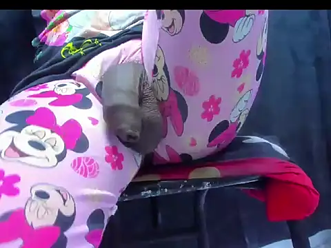 dirtybig cock22 online show from November 2025 02:27:02 PM