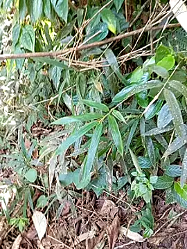 Snapshot of jerry-xx chatting on October 2025 12:57:01 AM jerry-xx online show from October 2025 12:57:01 AM