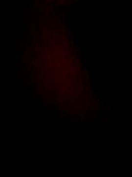 Snapshot of lorina202 chatting on November 2025 11:59:02 PM lorina202 online show from November 2025 11:59:02 PM