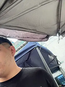 Stick ledom online show from November 2025 07:35:02 PM