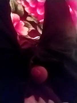 Playboyx143xh online show from November 2025 10:32:02 AM