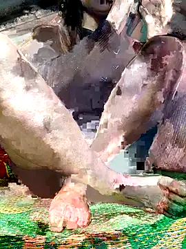 Snapshot of -Kem-01 chatting on December 2025 01:09:02 PM -Kem-01 online show from December 2025 01:09:02 PM