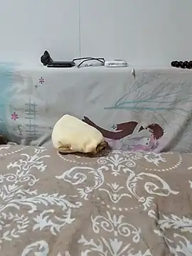 caige8888 online show from November 2025 11:05:02 AM