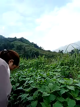 Snapshot of omai-ngot chatting on November 2025 01:14:02 AM omai-ngot online show from November 2025 01:14:02 AM