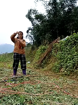 Snapshot of omai-ngot chatting on November 2025 02:17:02 AM omai-ngot online show from November 2025 02:17:02 AM