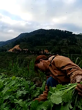 Snapshot of omai-ngot chatting on November 2025 09:19:02 AM omai-ngot online show from November 2025 09:19:02 AM