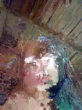 Snapshot of Squirrel-Pear chatting on November 2025 01:00:01 PM Squirrel-Pear online show from November 2025 01:00:01 PM