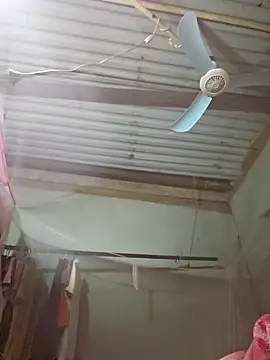 Snapshot of Squirrel-Pear chatting on November 2025 02:39:02 PM Squirrel-Pear online show from November 2025 02:39:02 PM