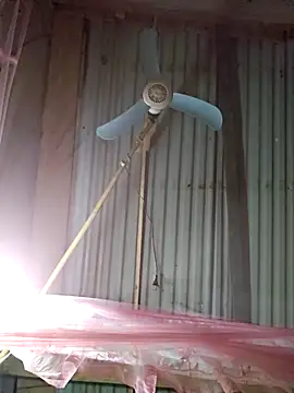 Snapshot of Squirrel-Pear chatting on December 2025 12:25:01 PM Squirrel-Pear online show from December 2025 12:25:01 PM