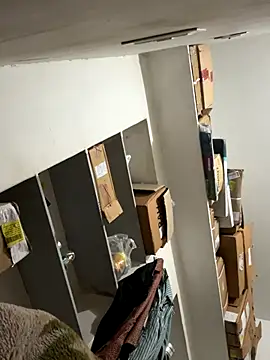 MacroSign13 online show from November 2025 10:36:02 PM