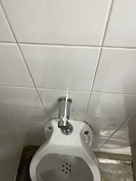 novinhosglbi online show from November 2025 12:21:01 AM