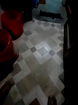 bindasbruno online show from December 2025 05:43:02 PM