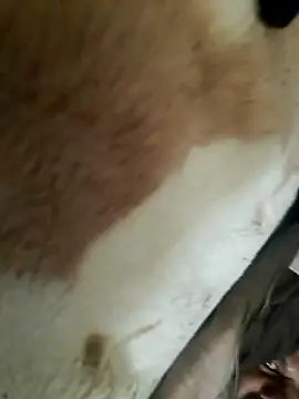 Snapshot of Perfect_size chatting on November 2025 08:58:02 AM Perfect size online show from November 2025 08:58:02 AM