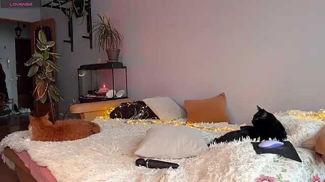 Snapshot of Lin_Cherie chatting on November 2025 11:21:02 AM Lin Cherie online show from November 2025 11:21:02 AM