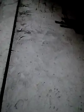 Snapshot of rickkis2k chatting on December 2025 09:53:01 PM rickkis2k online show from December 2025 09:53:01 PM